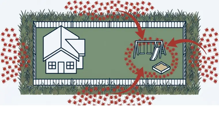 Diagram of ticks crossing a backyard fence line toward a swing set