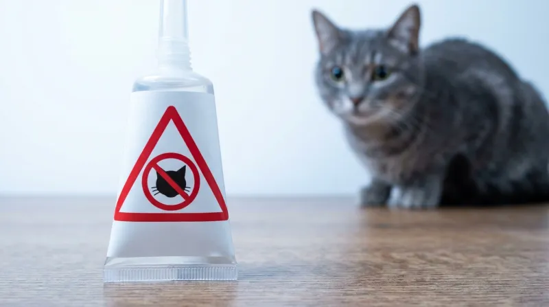 A spot-on flea and tick tube marked with a red not-for-use-on-cats warning triangle, with a cat sitting behind it